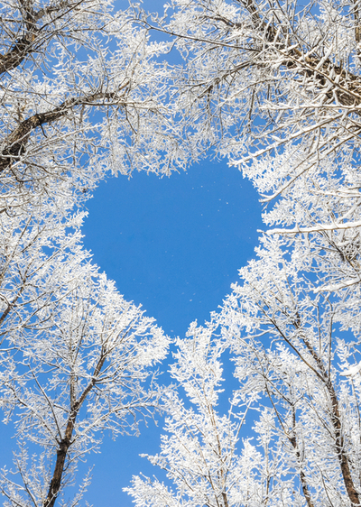 Die Winterhochzeit - Auch die Natur ist im Winter zum Verlieben